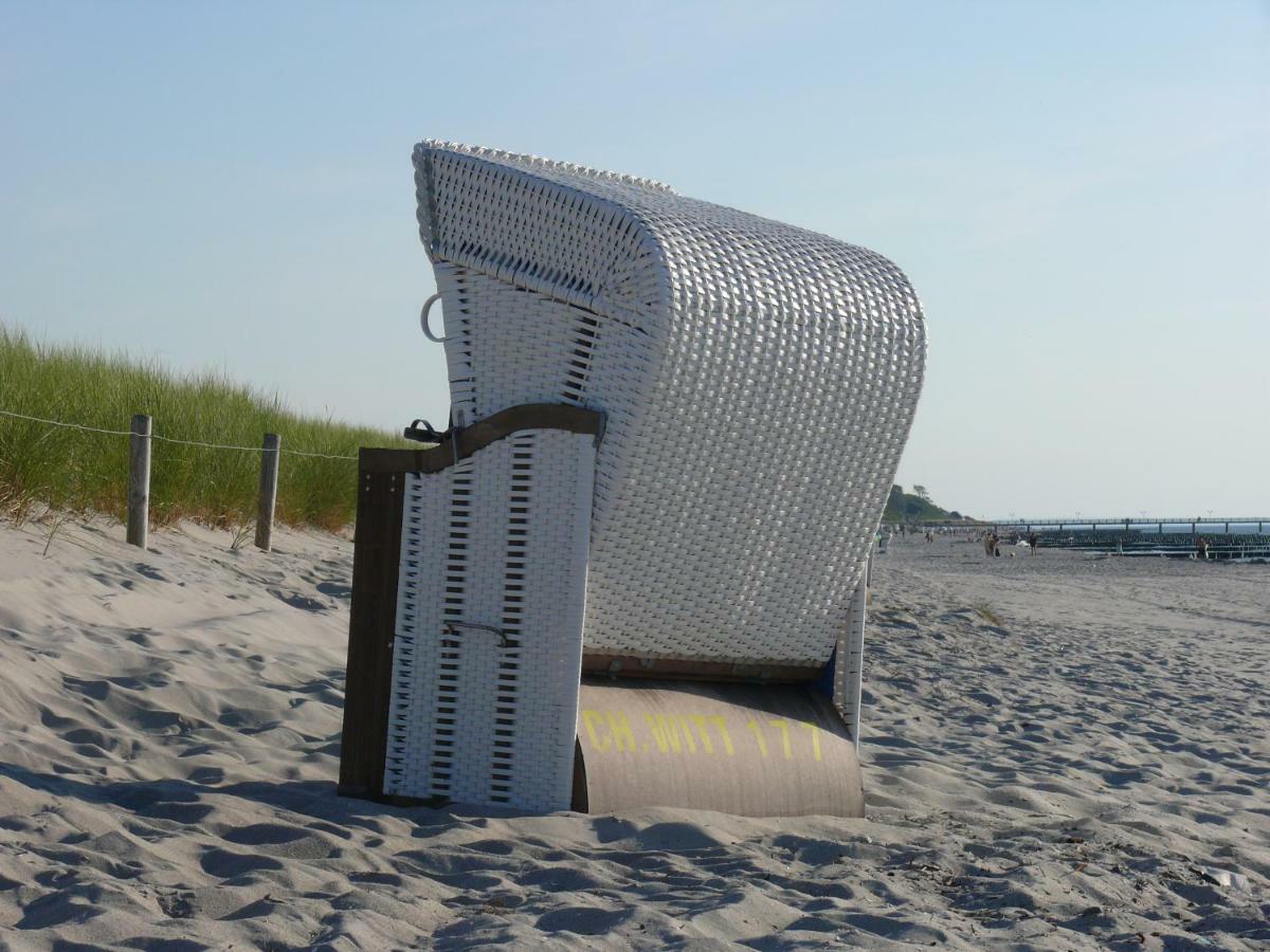 Am Ostseestrand Zingst Kültér fotó