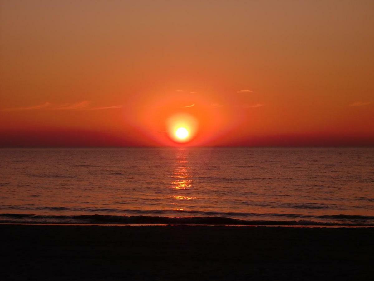Am Ostseestrand Zingst Kültér fotó